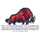 ifm Ravensburg Razorbacks